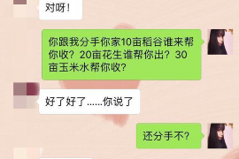 香河如何避免债务纠纷？专业追讨公司教您应对之策